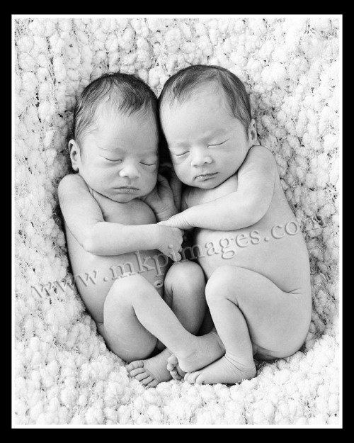 San Diego twin newborn photography